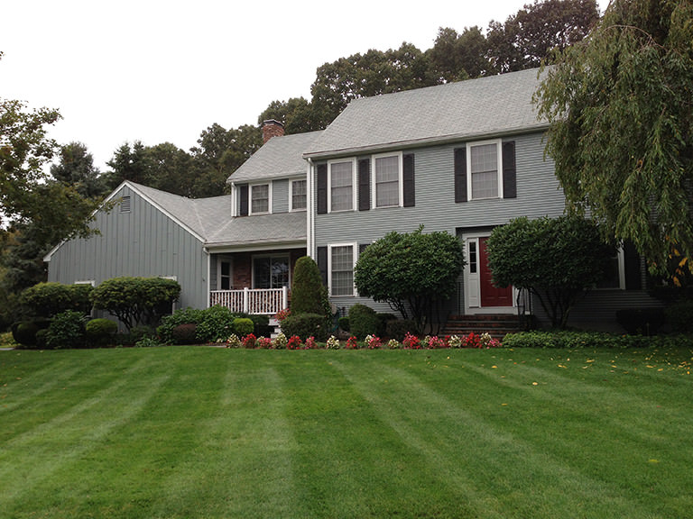 Roof Cleaning After