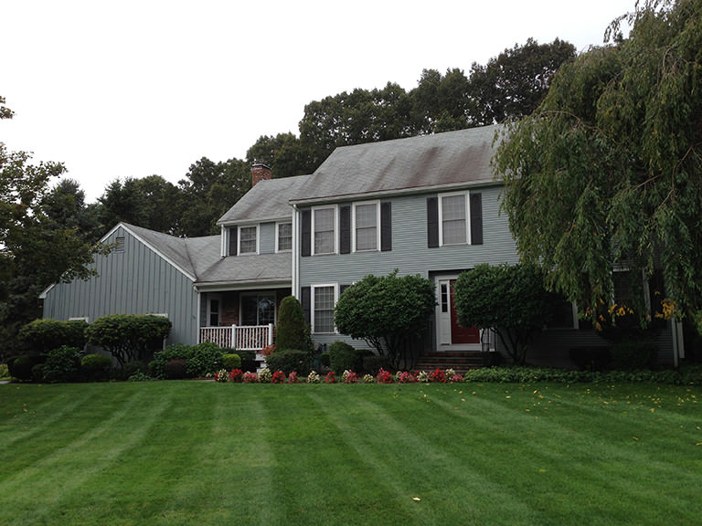 Roof Cleaning Process