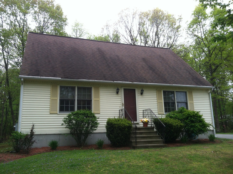 Roof Cleaning Before